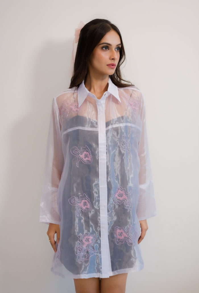 Iris shirt dress