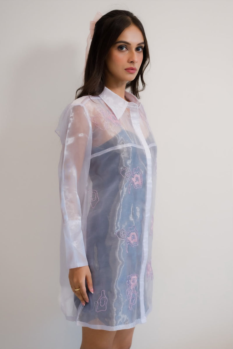 Iris shirt dress